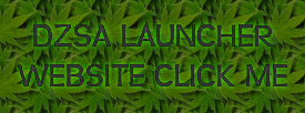 dzsa launcher web opens a new window